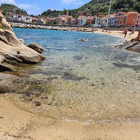 Assiolo *