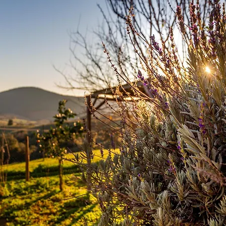 Holiday home Assiolo *
