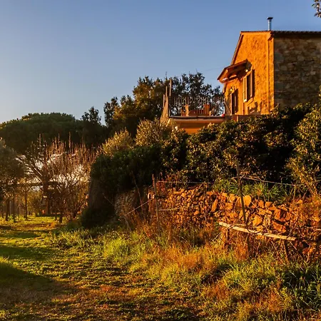 Assiolo Holiday home Magliano in Toscana