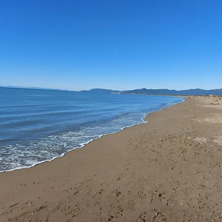Assiolo Magliano in Toscana