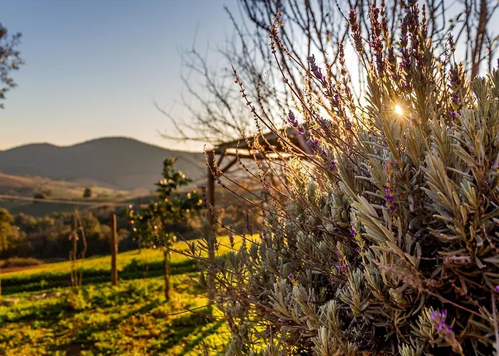 Holiday home Assiolo *