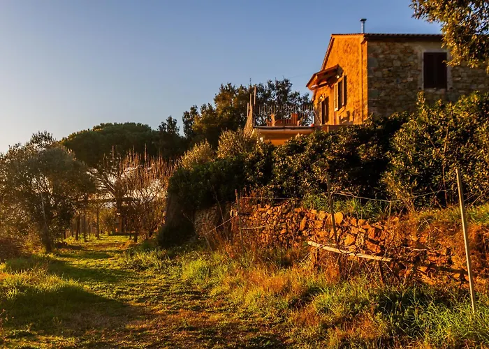 Assiolo Holiday home Magliano in Toscana