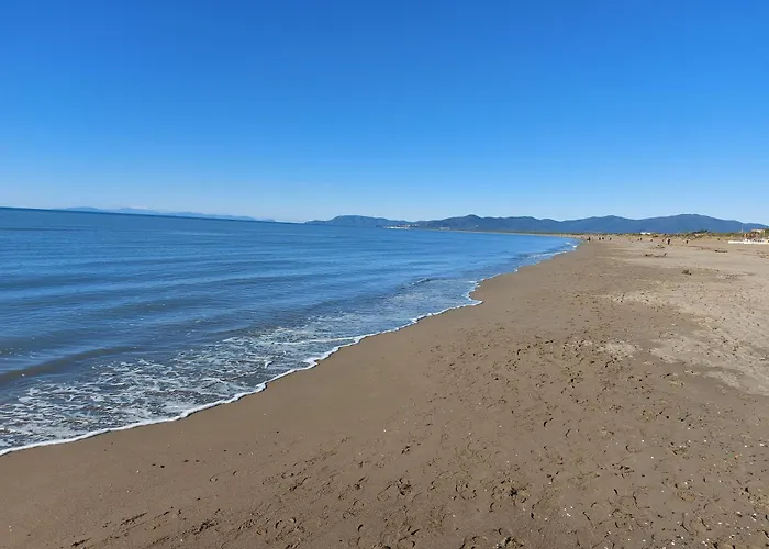 Assiolo Magliano in Toscana